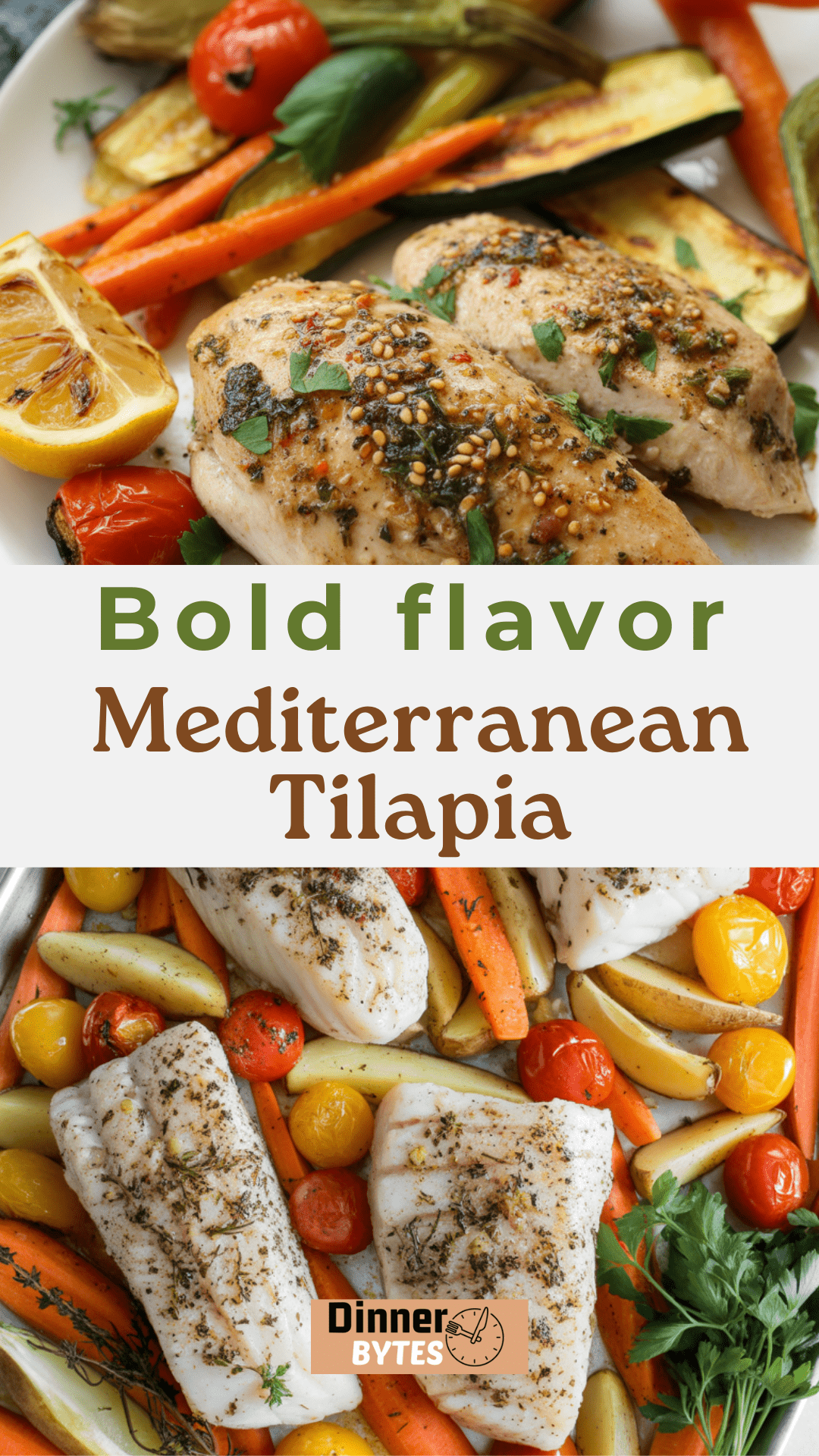 Mediterranean Tilapia