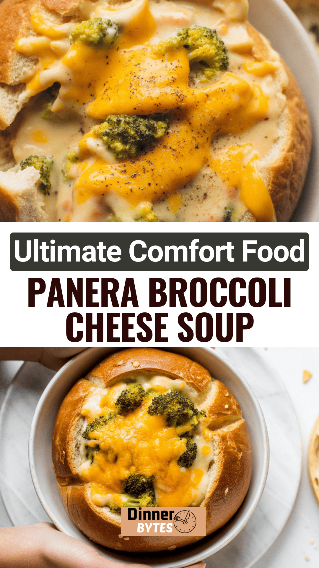 Panera Broccoli Cheese Soup