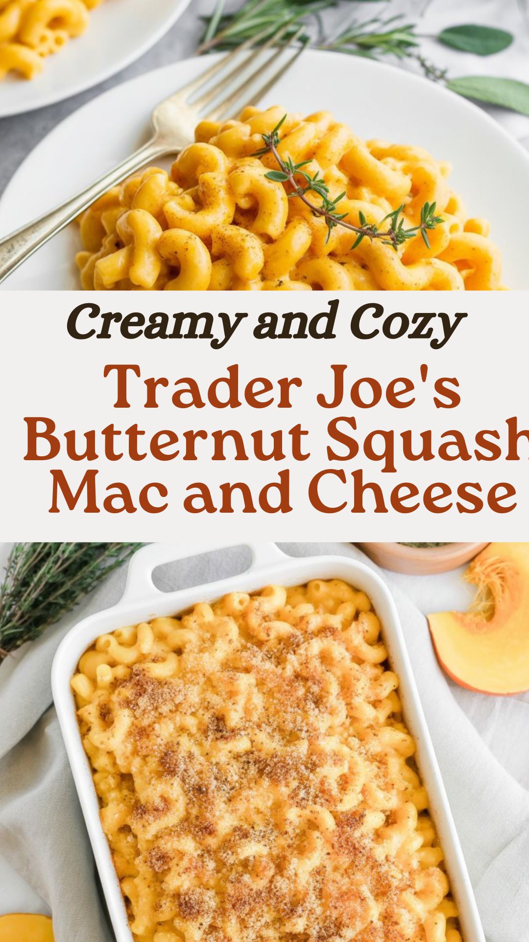 Trader Joe's Butternut Squash Mac and Cheese