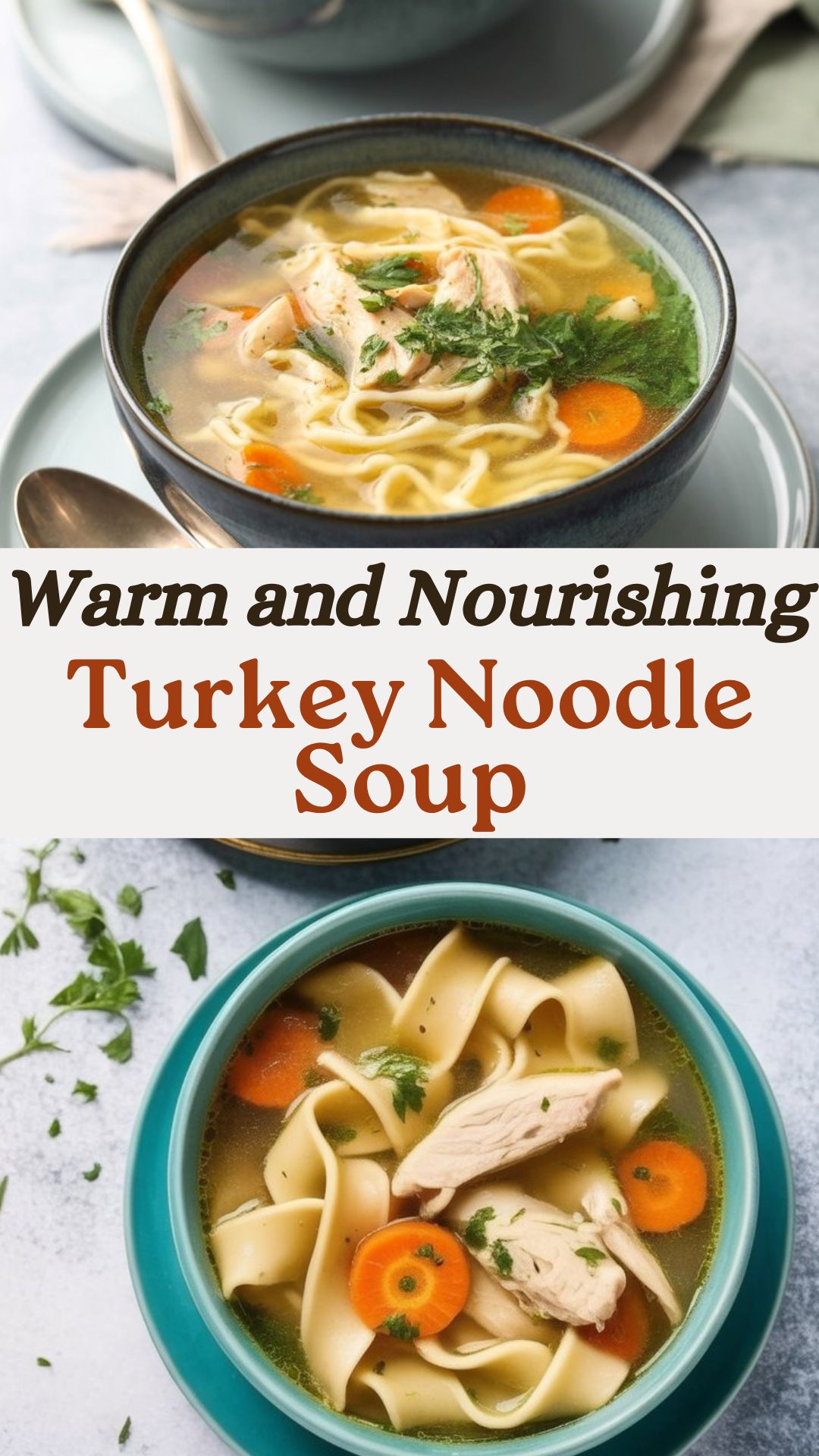 Turkey Noodle Soup