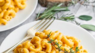 Trader Joe's Butternut Squash Mac and Cheese
