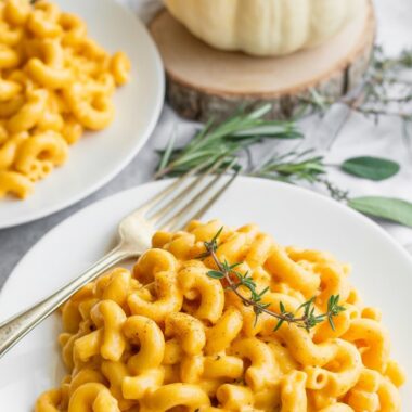 Trader Joe's Butternut Squash Mac and Cheese